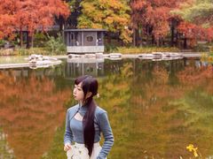 -四海公园(南山区)