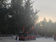 -尧庙景区