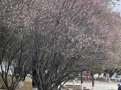 -中国客家博物馆