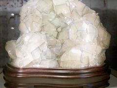 -陕西自然博物馆