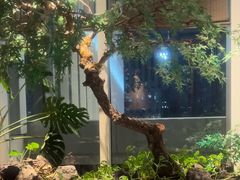 -海立阁海鲜江浙菜(漕河泾印象城店)