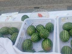 -食悦江南·淮扬菜·烤鸭(亚运村·惠新店)
