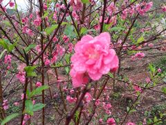 -南宁花花大世界景区