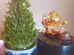 -宫七SPA·高端Massage(浦东大道店)