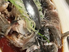 -洋洋中餐馆·SINCE 1997(信投店)