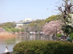 -秋叶原电器街