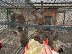 -水上乐园·欢乐世界