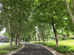 -石家庄市植物园