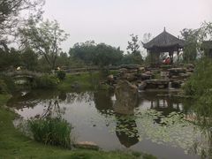 -邓小平故里