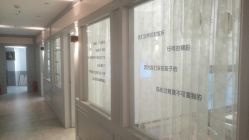 -亲吻宝贝儿童摄影