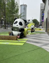 -DL HOPE明星造型