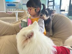 -怪兽屋·羊驼·猫咖·狗咖(俊华广场店)