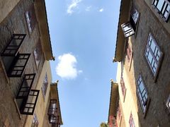 -武汉大学-樱园