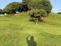 -红花山公园