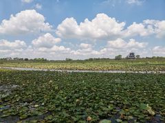 -上海海湾国家森林公园