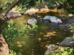 -北仑森林植物园