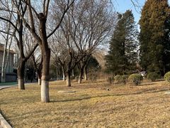 -丰台花园