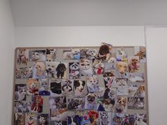 -宠物星动物医院·眼科·异宠·猫科(江南大道总院)