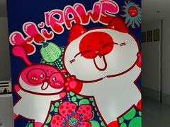-喜多萌中农锦绣动物医院24H·猫科·牙科MRI·CT