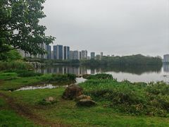 -飞来湖湿地公园