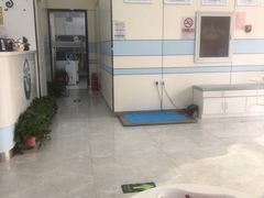 -中农国际动物医院24小时·猫科·骨科·急重症中心