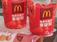 -麦当劳(塔园路店)