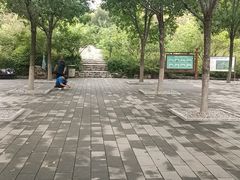 -佛慧山
