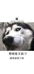 -顾泽医疗美容