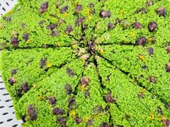 -蟹天蟹地农家菜·阳澄湖大闸蟹(浅水湾店)