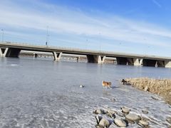 -绿堤公园