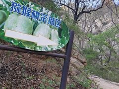 -大岭沟猕猴桃谷风景区
