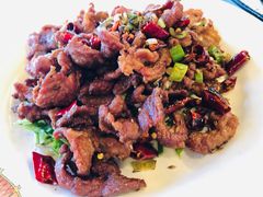 -京北渔家傲
