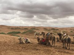 -沙漠世界地质公园