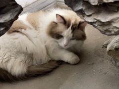 -白兔子密室(长寿路店)