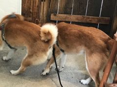 -三目仓咖啡(贤南路店)