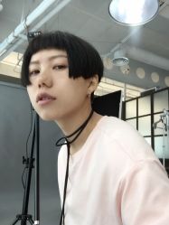 -大象造型