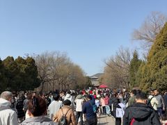 -晋祠公园