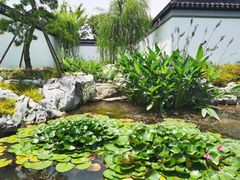 -上海滨江森林公园