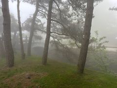 -庐山风景区花径公园