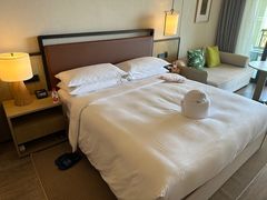 -三亚亚龙湾万豪度假酒店