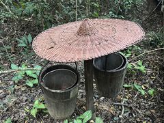 -七仙岭温泉国家森林公园