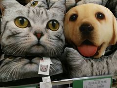 -AEON永旺(东方宝泰店)