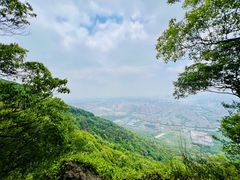 -山北老老头馄饨