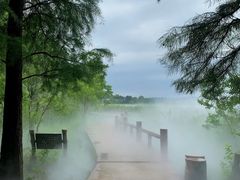 -东湖落雁景区