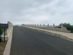 -西京湾花海