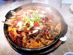 -老板恋上鱼(恒隆广场店)