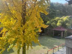 -翠园十八号庭院餐厅