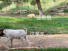 -北京野生动物园