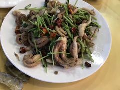 -豆花酒楼·三十八年匠心(秦皇东大街店)
