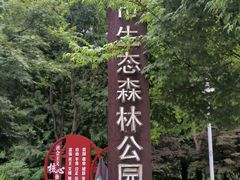 -昆山城市生态森林公园
